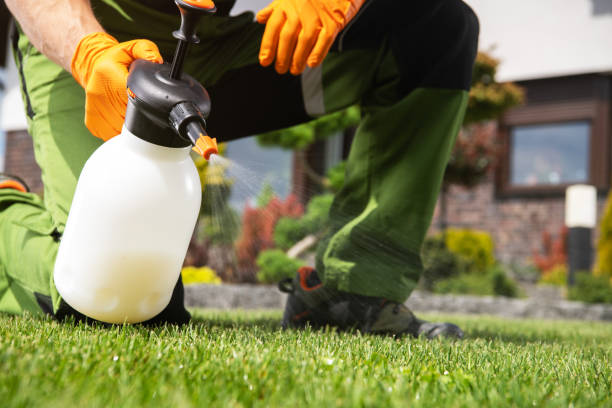 Best Wasp Removal Services  in Shamokin, PA