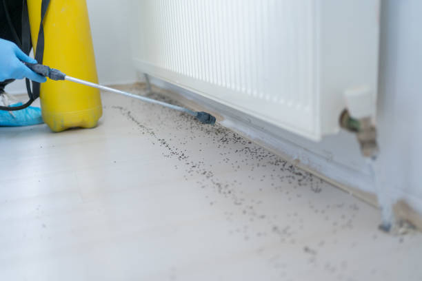 Trusted Shamokin, PA Pest Control Experts
